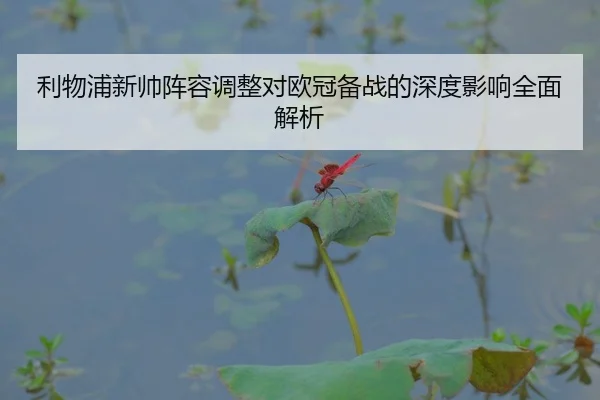 利物浦新帅阵容调整对欧冠备战的深度影响全面解析